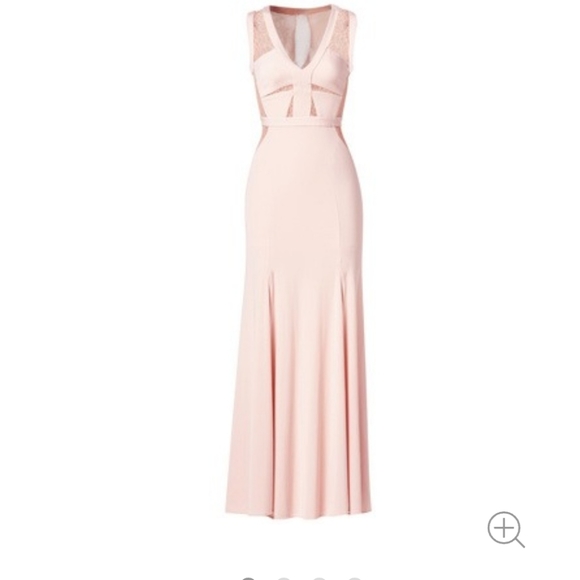 BCBG Blush Pink Christy Lace Inserted dress 0 - Picture 3 of 5